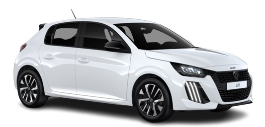 Peugeot 208 2 PLACES